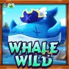 Whale Wild