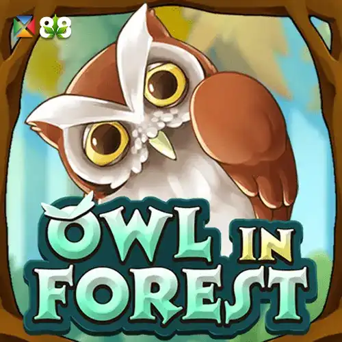 Owl In Forest