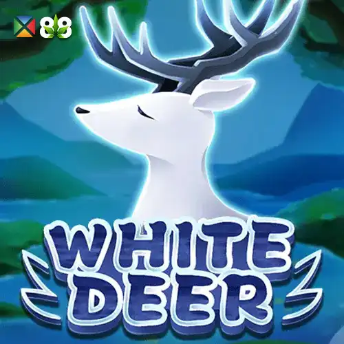 White Deer