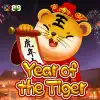 Year Of The Tiger
