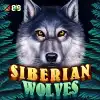 Siberian Wolves
