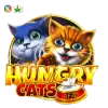 Hungry Cats