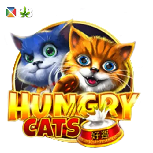 Hungry Cats