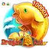 Dragon Koi