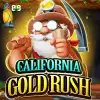 California Gold Rush