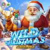 Wild Christmas Fusion Reels