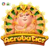 Acrobatics