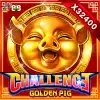 CHALLENGE・GOLDEN PIG