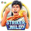 Striker WILD