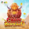 CRAZY BUFFALO