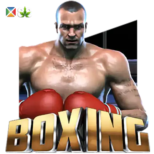 Boxing