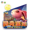 Moon Rabbit