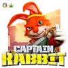 Captain Rabbit