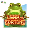 Leap of Fortune