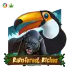 Rainforest Riches