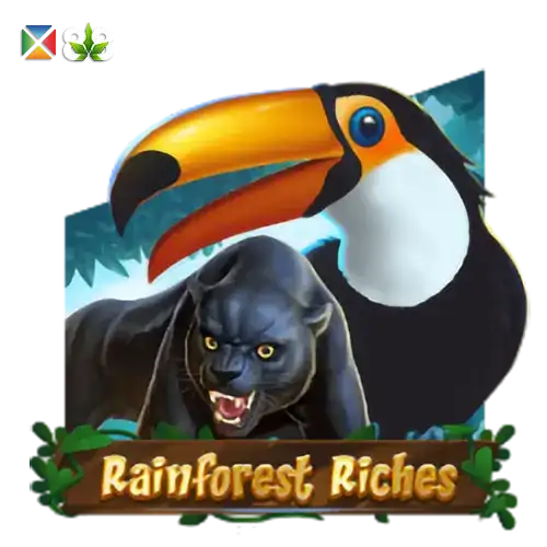 Rainforest Riches