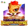 Dragon Wildfire: Cluster Win