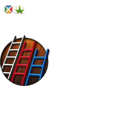 The Ladder