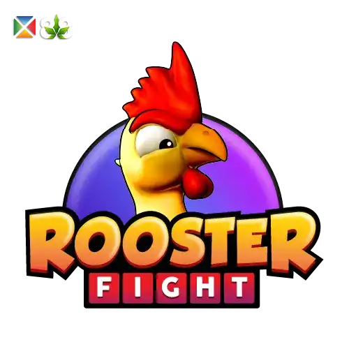 Rooster Fight