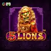 5 Lions