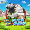 Black Sheep