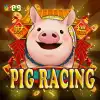 Pig Racing