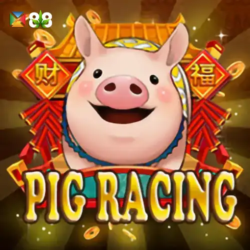 Pig Racing