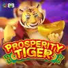 Prosperity Tiger