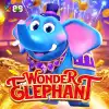 Wonder Elephant