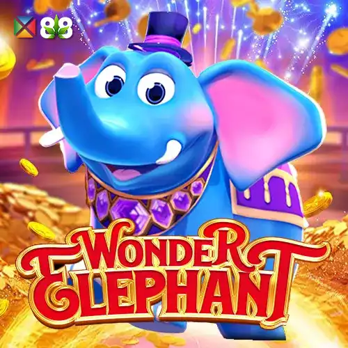Wonder Elephant