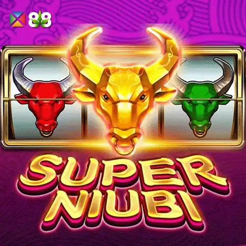 Super Niubi