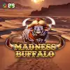 Madness Buffalo