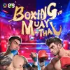 Boxing VS Muay Thai