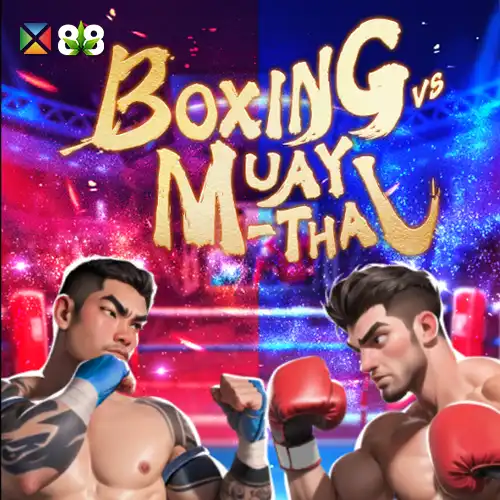 Boxing VS Muay Thai