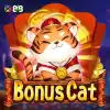 Bonus Cat