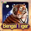 Bengal Tiger