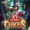 Amazing Circus