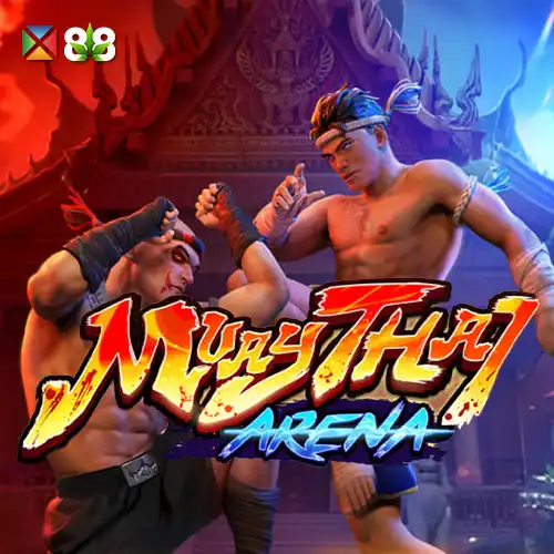 Muay Thai Arena