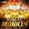 Triple Kung Fu Monkey