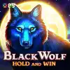 Black Wolf