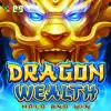 Dragon Wealth