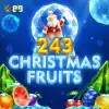 243 Christmas Fruits