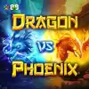 Dragon VS Phoenix