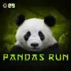 Panda's Run