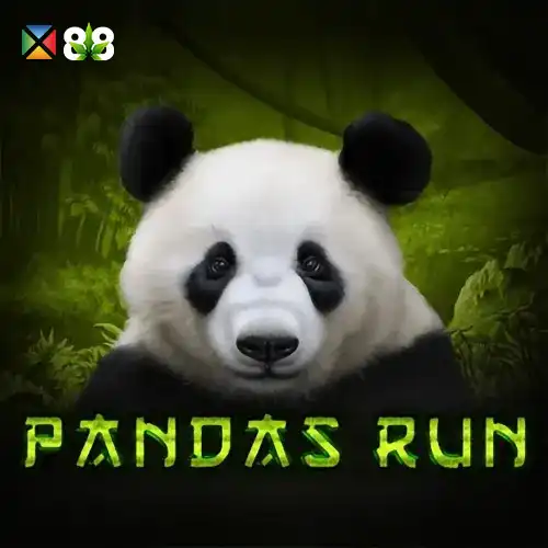 Panda's Run