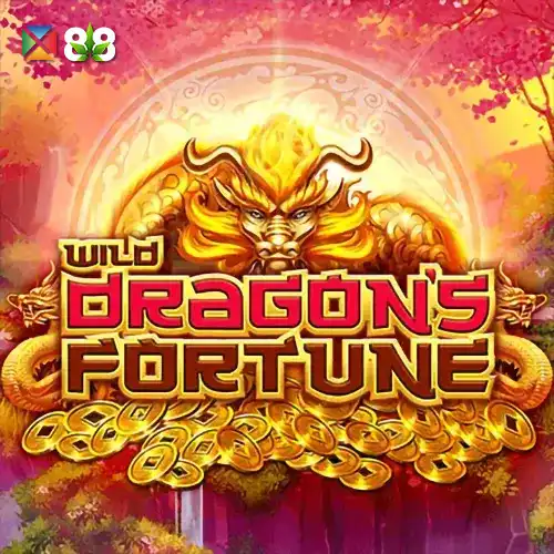 Wild Dragon's Fortune