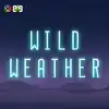 Wild Weather