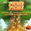 PICHU PICHU