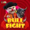 Bull Fight