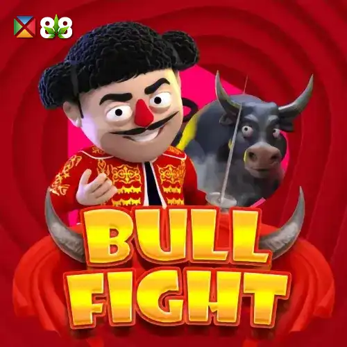 Bull Fight